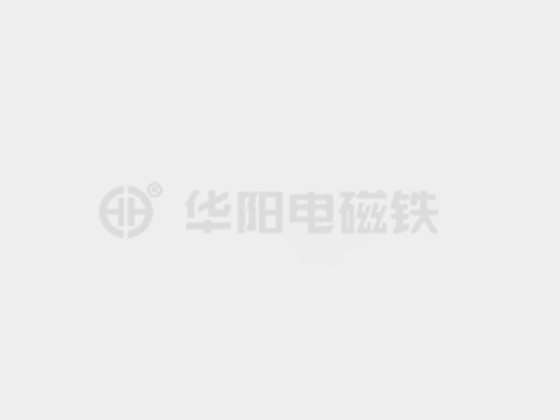 欧美操逼逼防爆电磁铁的储存和维护较佳实践！